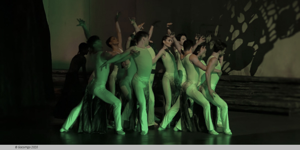 Scene 2 from the ballet "The Wooden Prince", photo 1