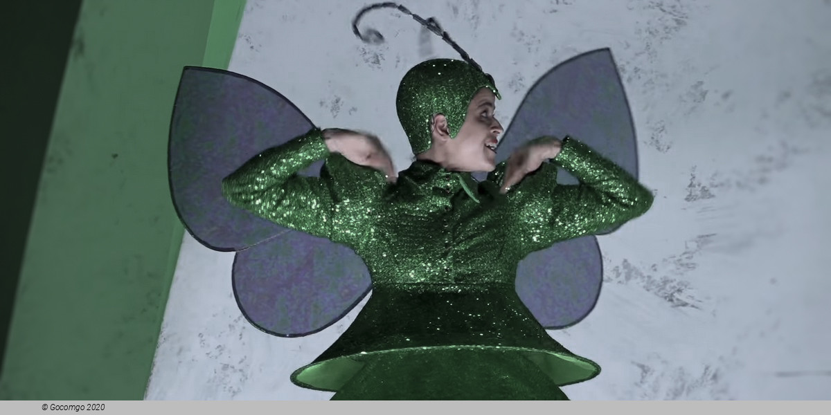 Scene 11 from the opera "Barkouf", photo 11