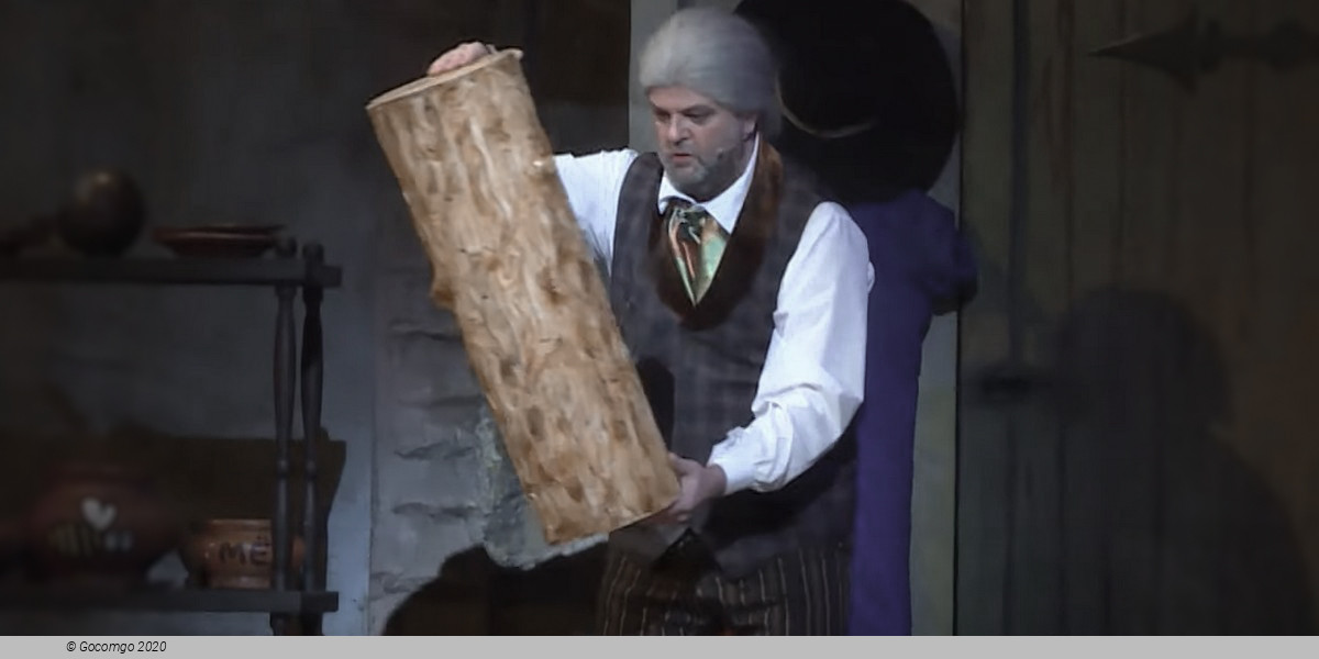 Scene 4 from the opera "Pinocchio", photo 5