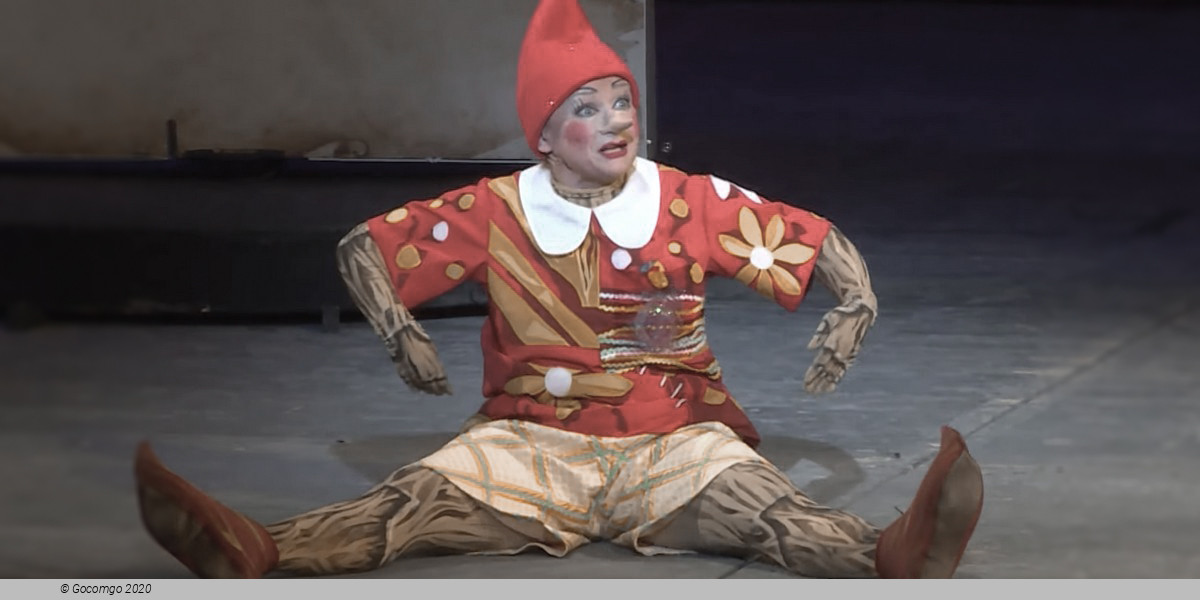 Scene 5 from the opera "Pinocchio", photo 1