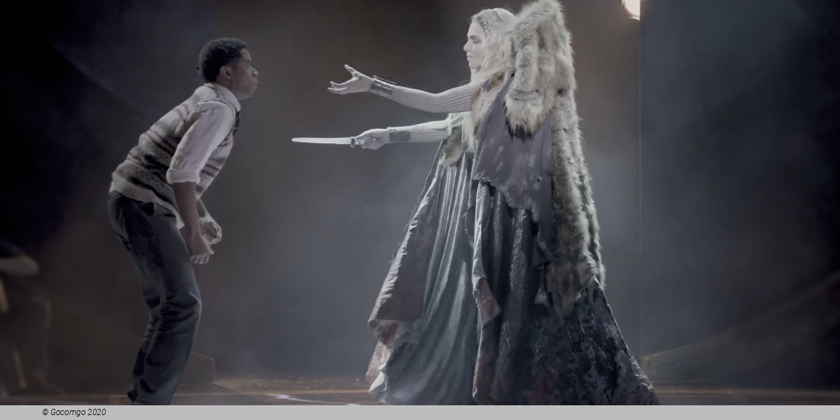 Scene 9 from the musical "The Lion, the Witch and the Wardrobe", photo 9