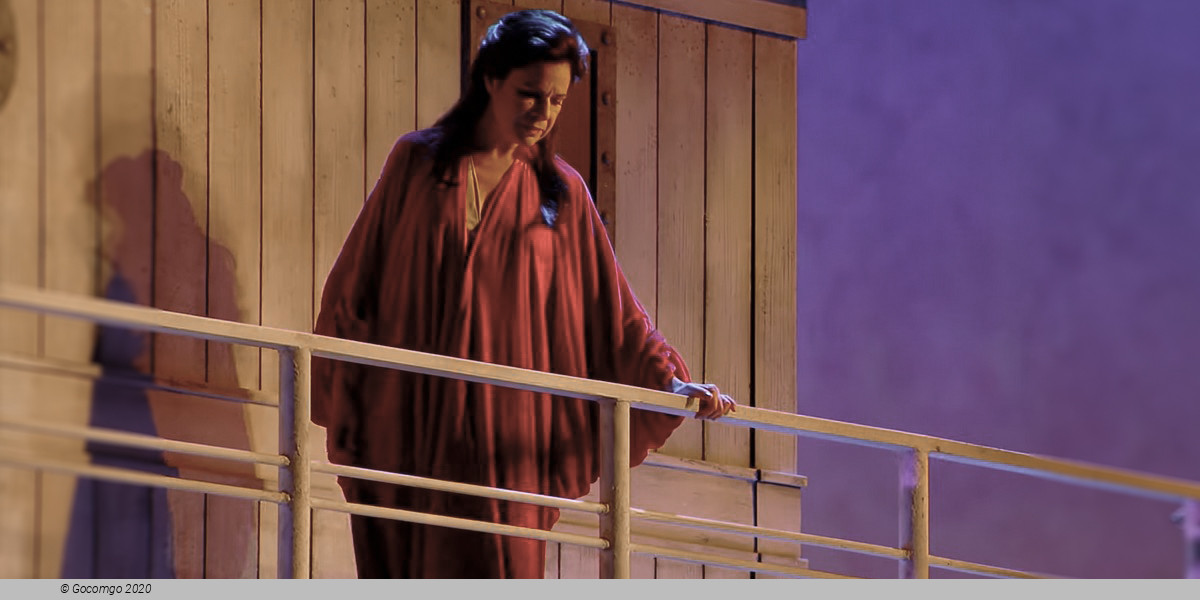Scene 8 from the opera "Florencia en el Amazonas", photo 1