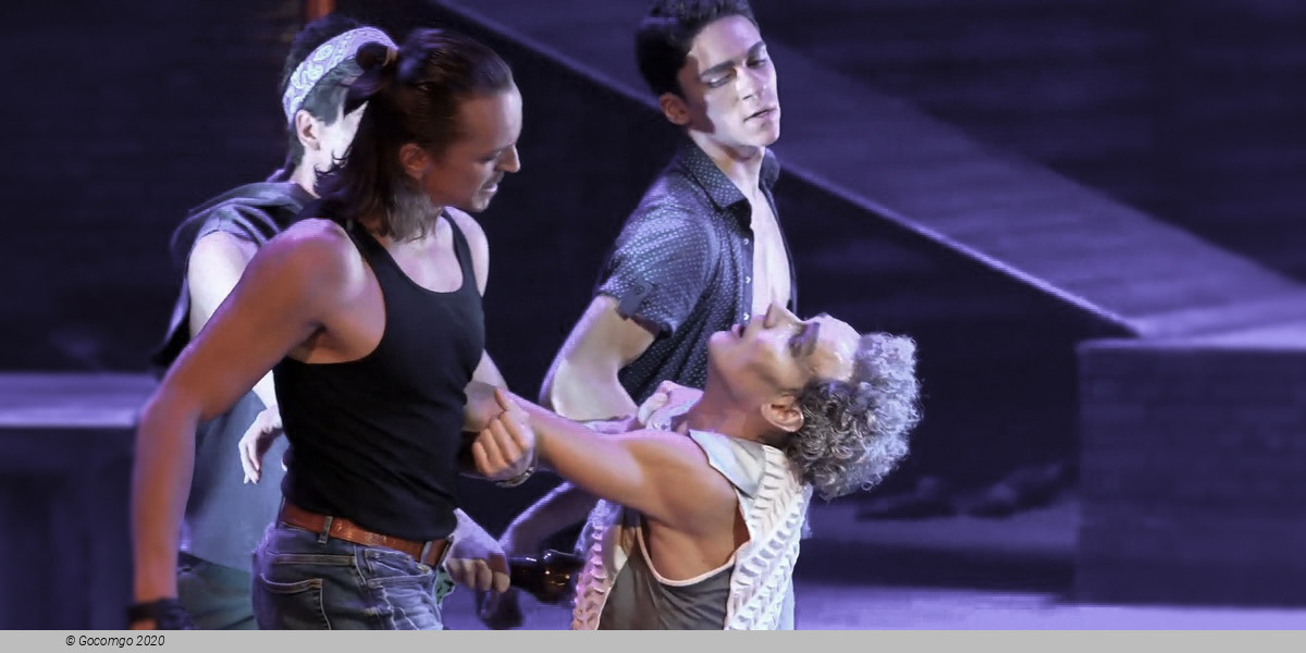 The Miracuolus Mandarin, photo 3