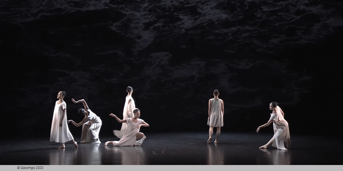 Cloud Gate, photo 15