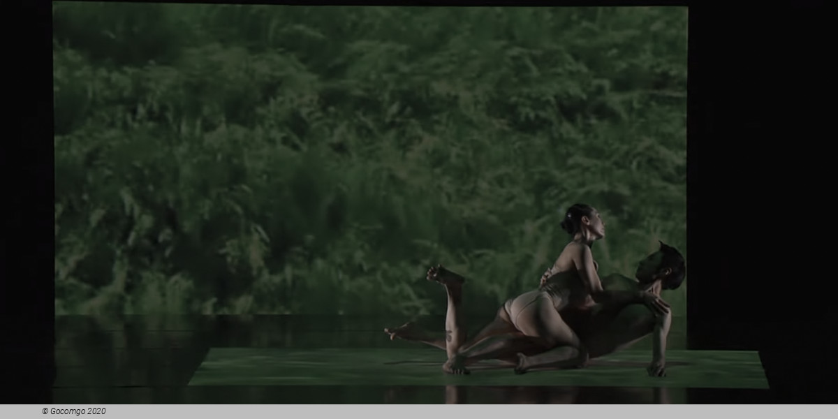 Cloud Gate, photo 16