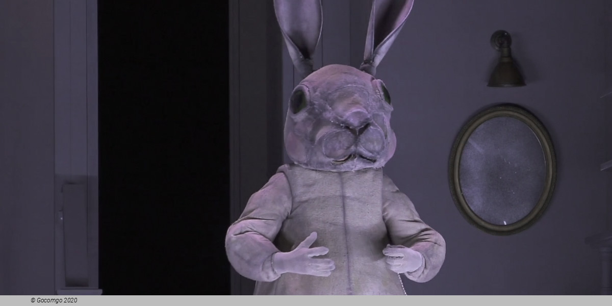 Alice in Wonderland(Children's Opera)