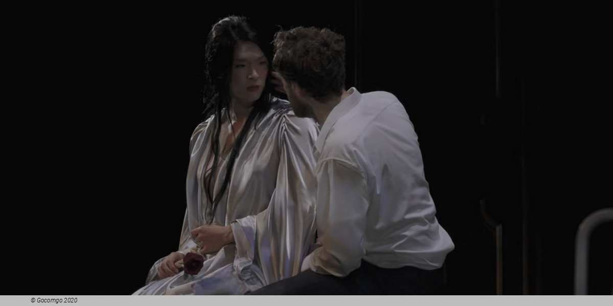 M. Butterfly (Huang Ruo), photo 2