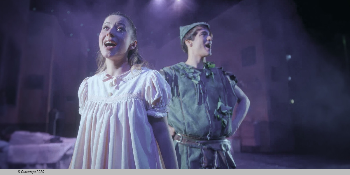 Peter Pan – Il Musical