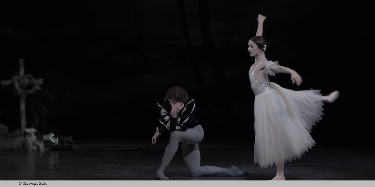 Giselle, photo 7