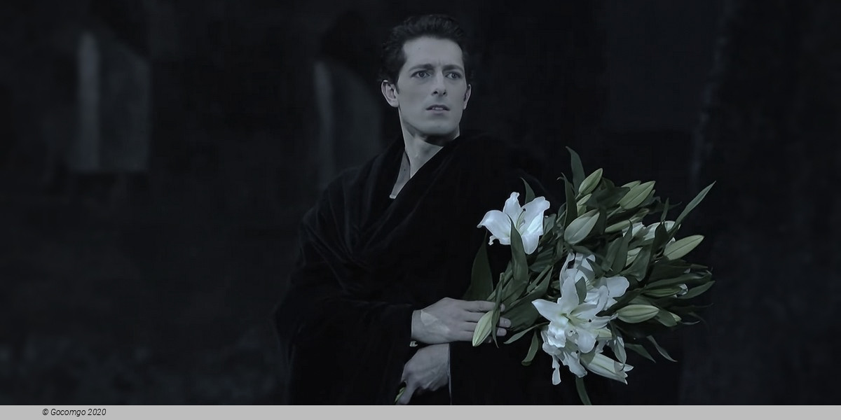 Giselle, photo 11