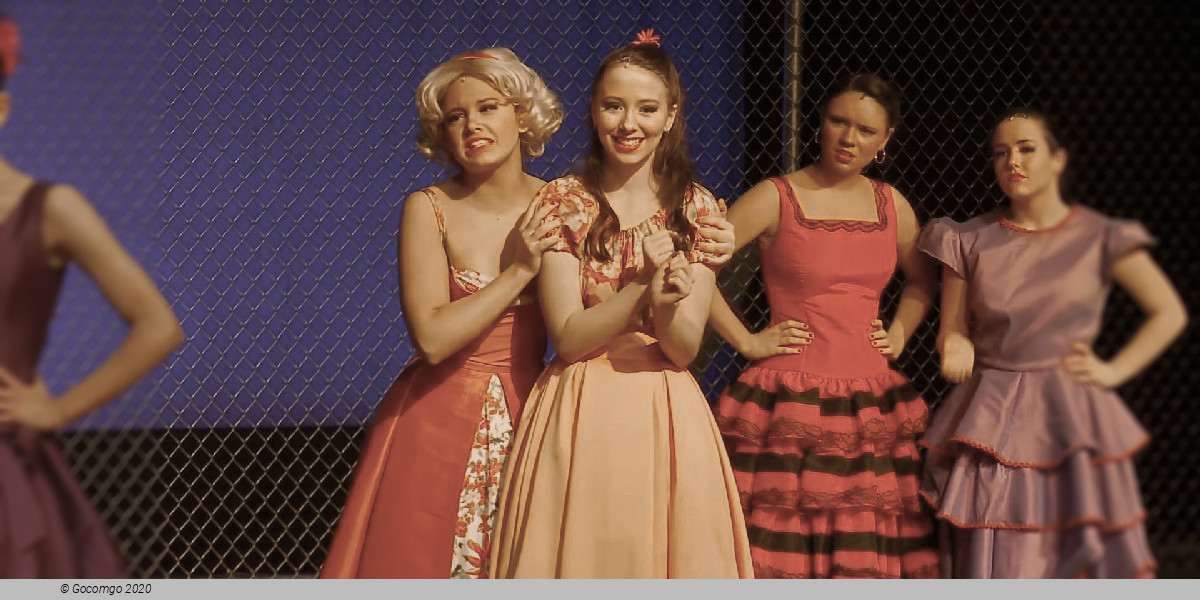 Scene 4 from the musical "West Side Story", photo 5