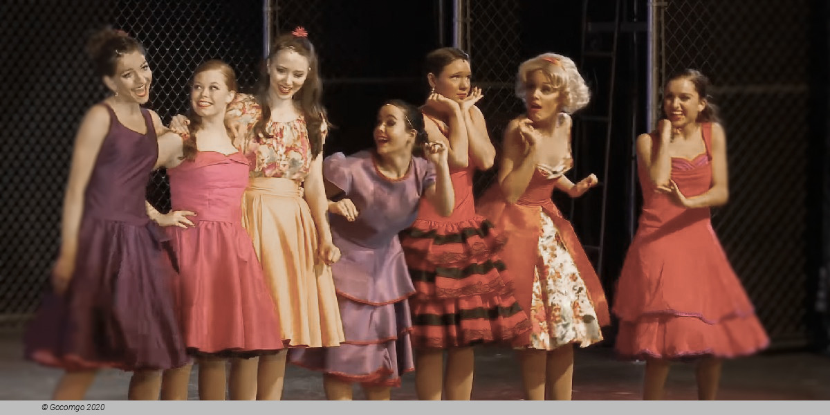 Scene 5 from the musical "West Side Story", photo 6