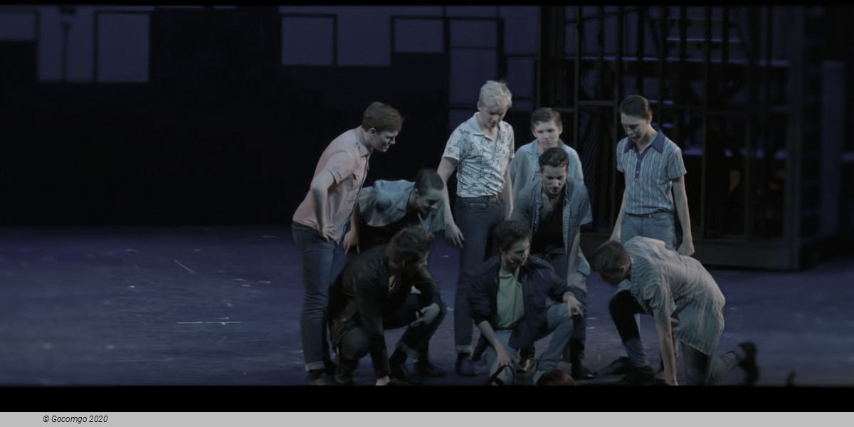 Scene 6 from the musical "West Side Story", photo 7