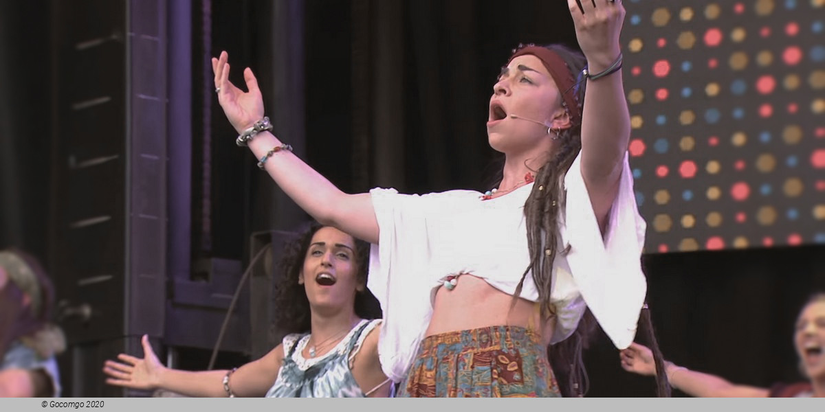 Scene 4 from the musical "Hair", photo 4