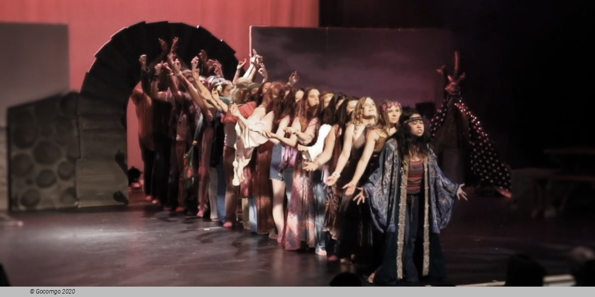 Scene 6 from the musical "Hair", photo 6