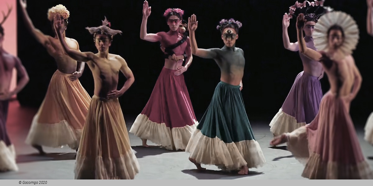 Scene 2 from the ballet "Frida"