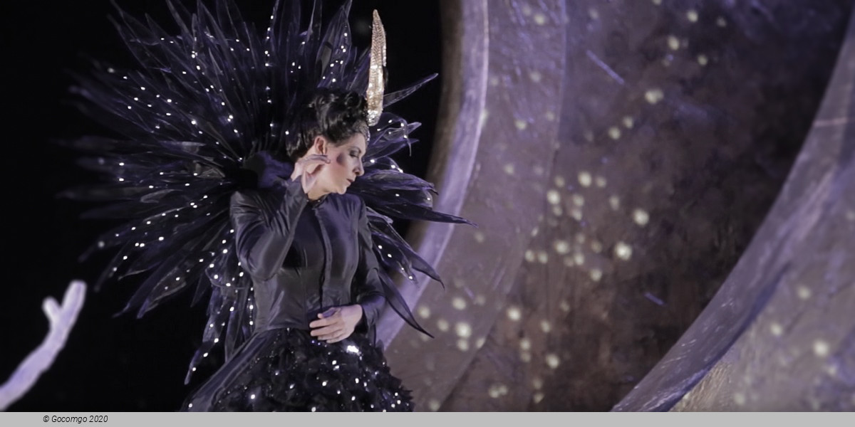 Scene 2 from the opera "The Magic Flute", photo 9