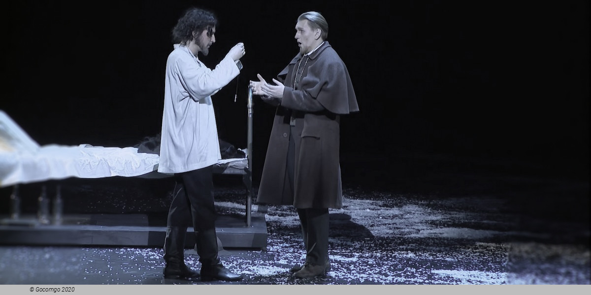 The Idiot, photo 10