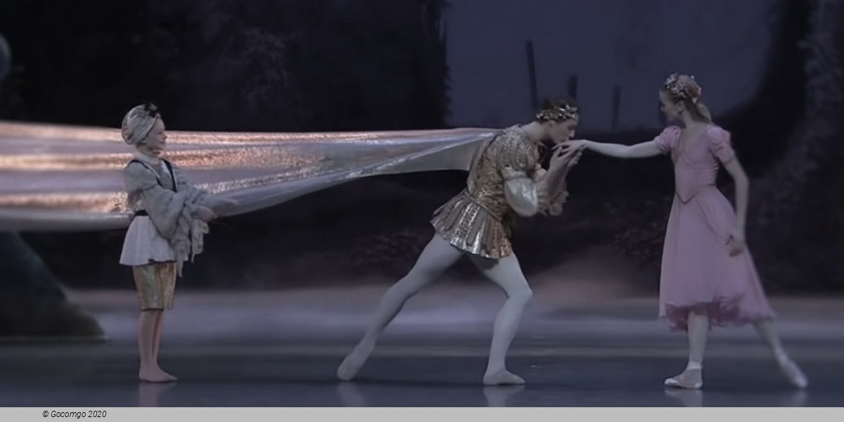 Scene 7 from the ballet "A Midsummer Night's Dream"