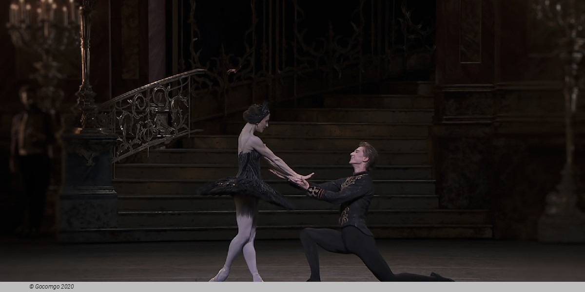 Scene 1 from the ballet "Swan Lake", photo 10