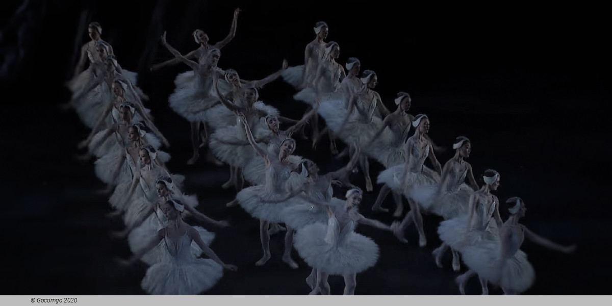 Scene 5 from the ballet "Swan Lake", photo 13