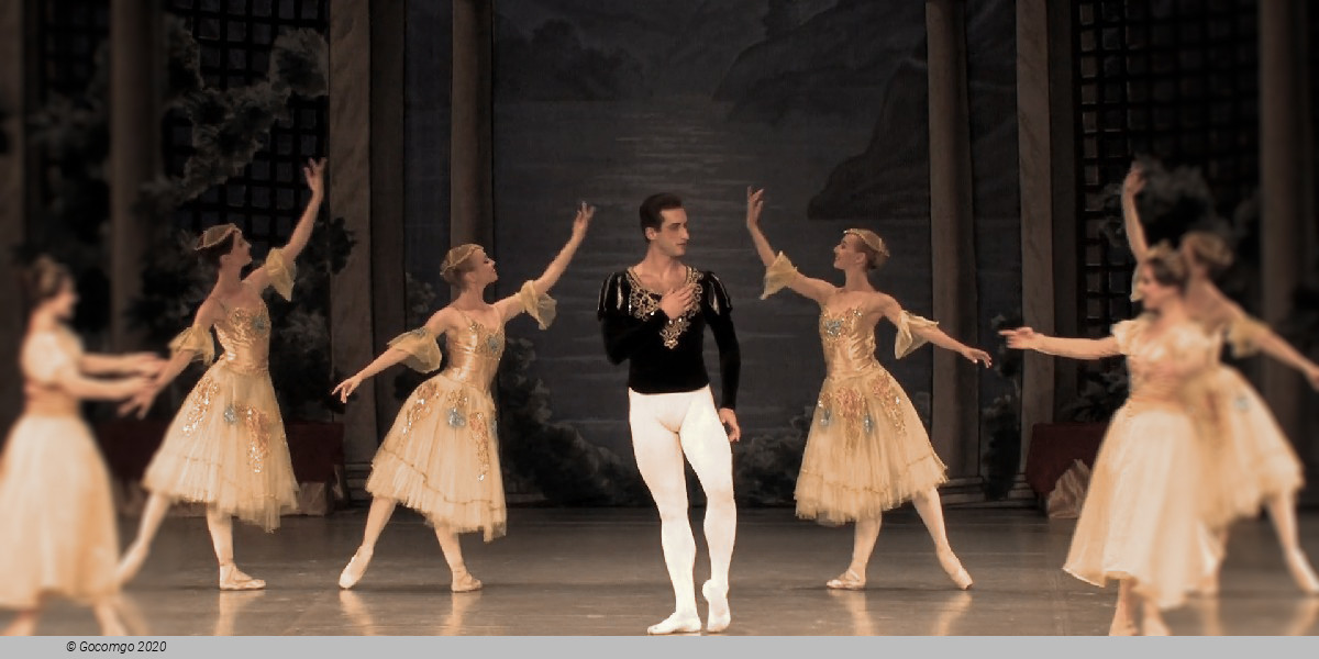 Scene 7 from the ballet "Swan Lake"