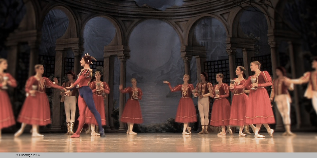 Scene 8 from the ballet "Swan Lake", photo 10