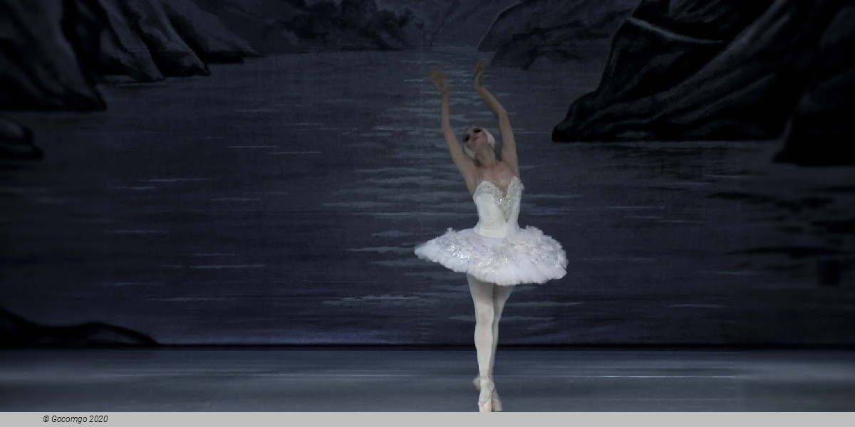 Scene 10 from the ballet "Swan Lake", photo 18