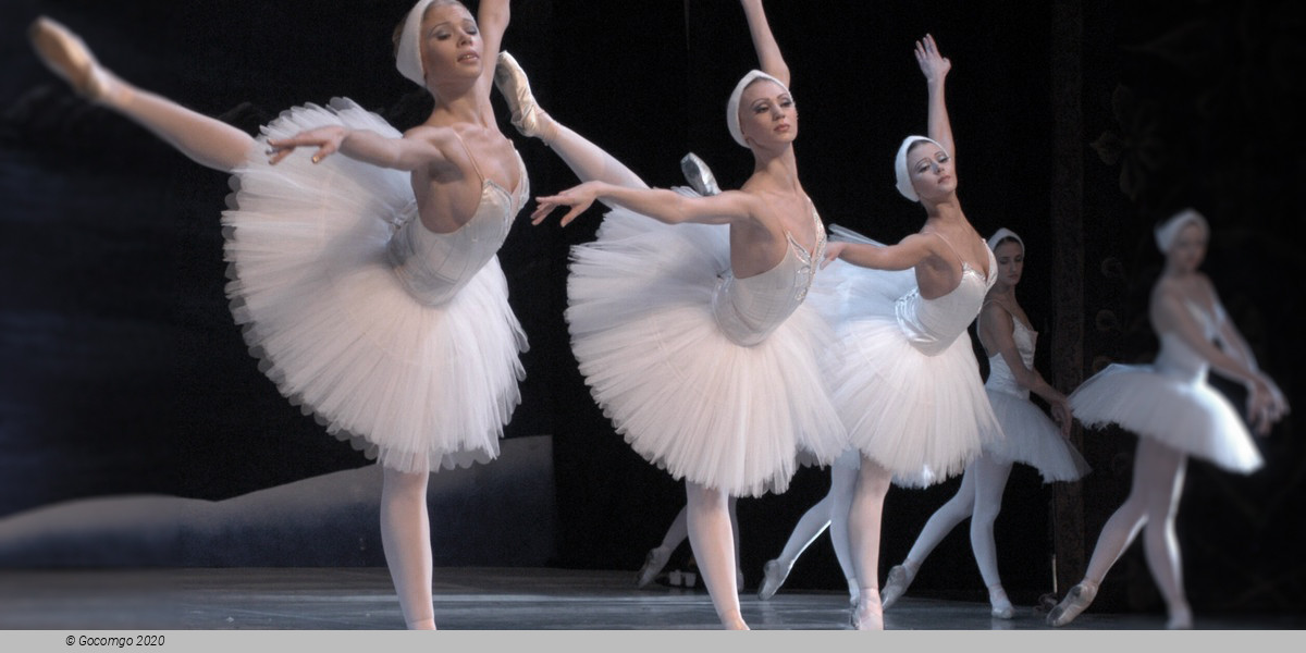 Scene 12 from the ballet "Swan Lake"