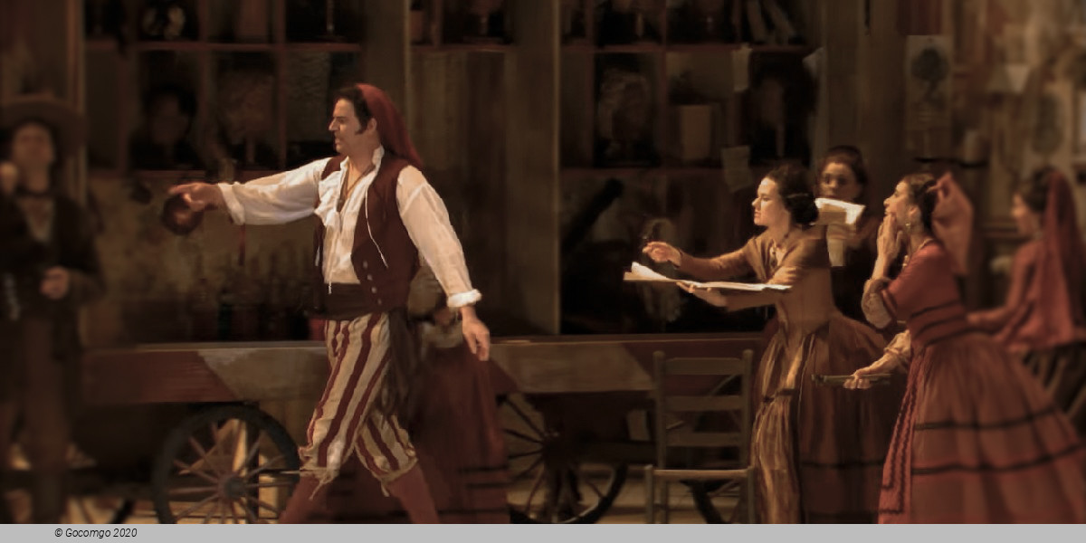 Scene 3 from the opera "The Barber of Seville", photo 8