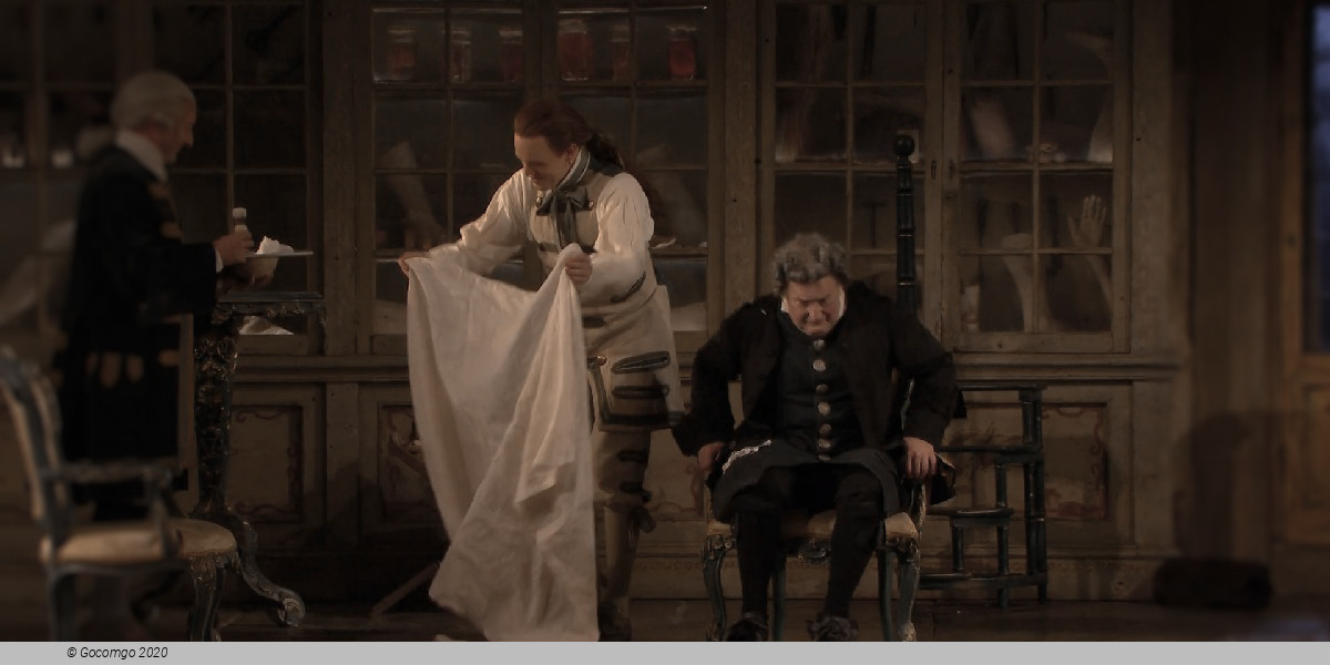 Scene 7 from the opera "The Barber of Seville", photo 11