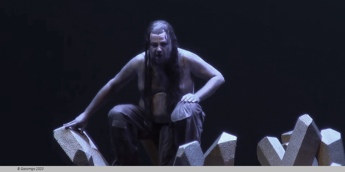 Scene 6 from the opera "Das Rheingold", photo 10