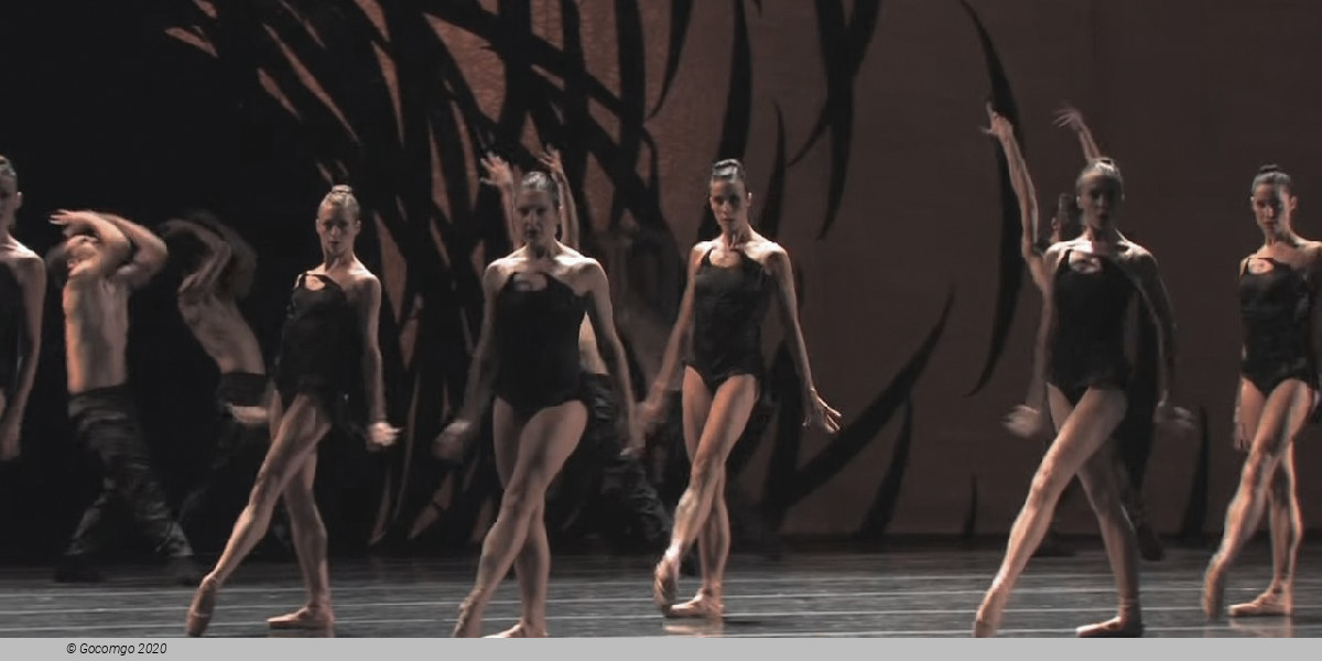 Scene 1 from the modern ballet "Emergence"