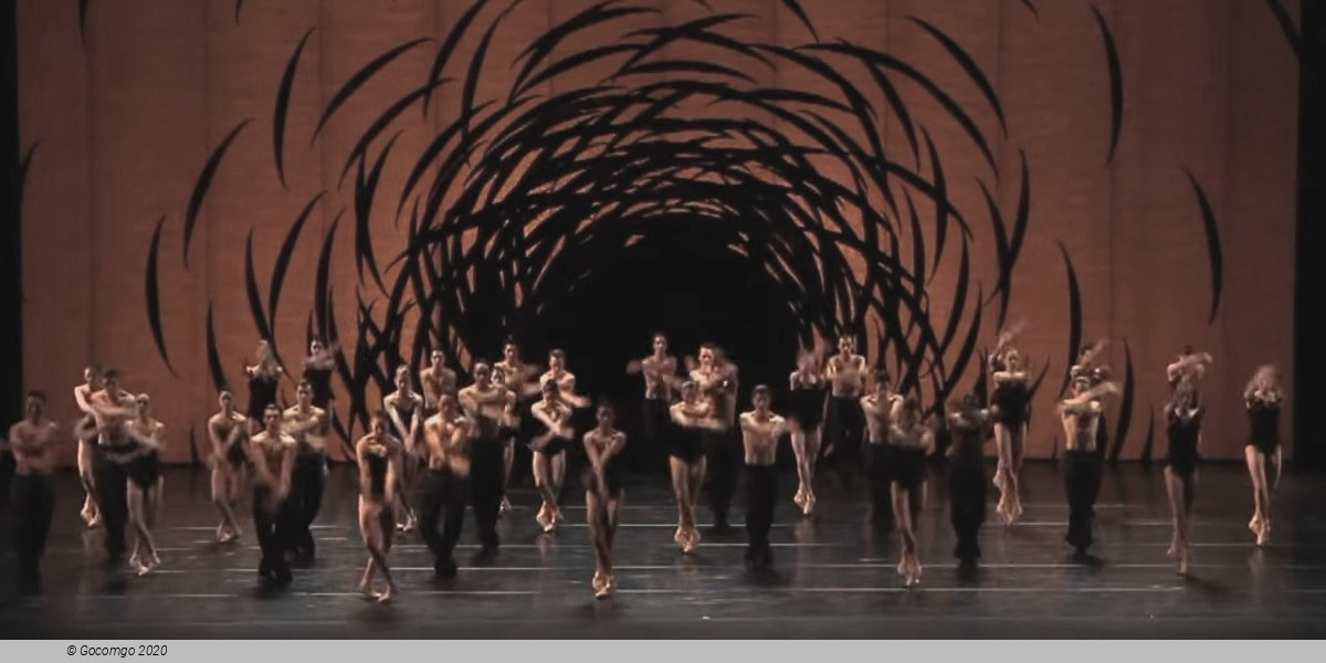 Scene 3 from the modern ballet "Emergence"