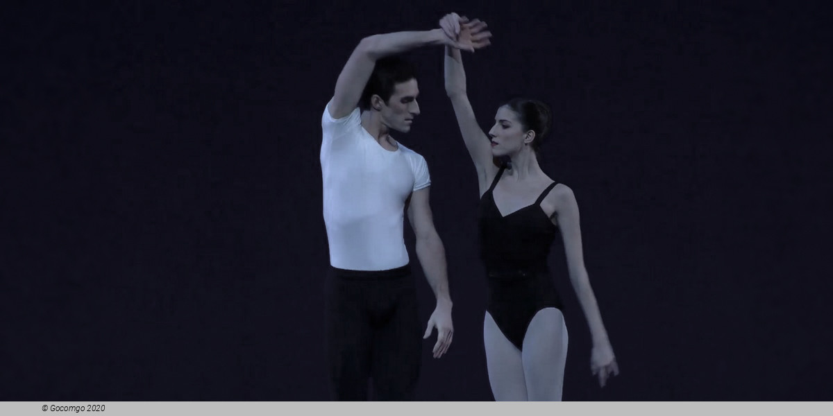 Scene 4 from the modern ballet "The Four Temperaments", photo 13