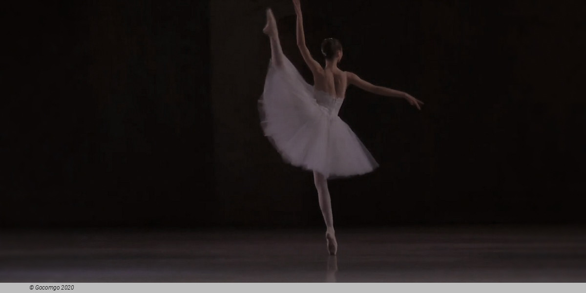 Scene 2 from the ballet "Vienna Waltzes", photo 6