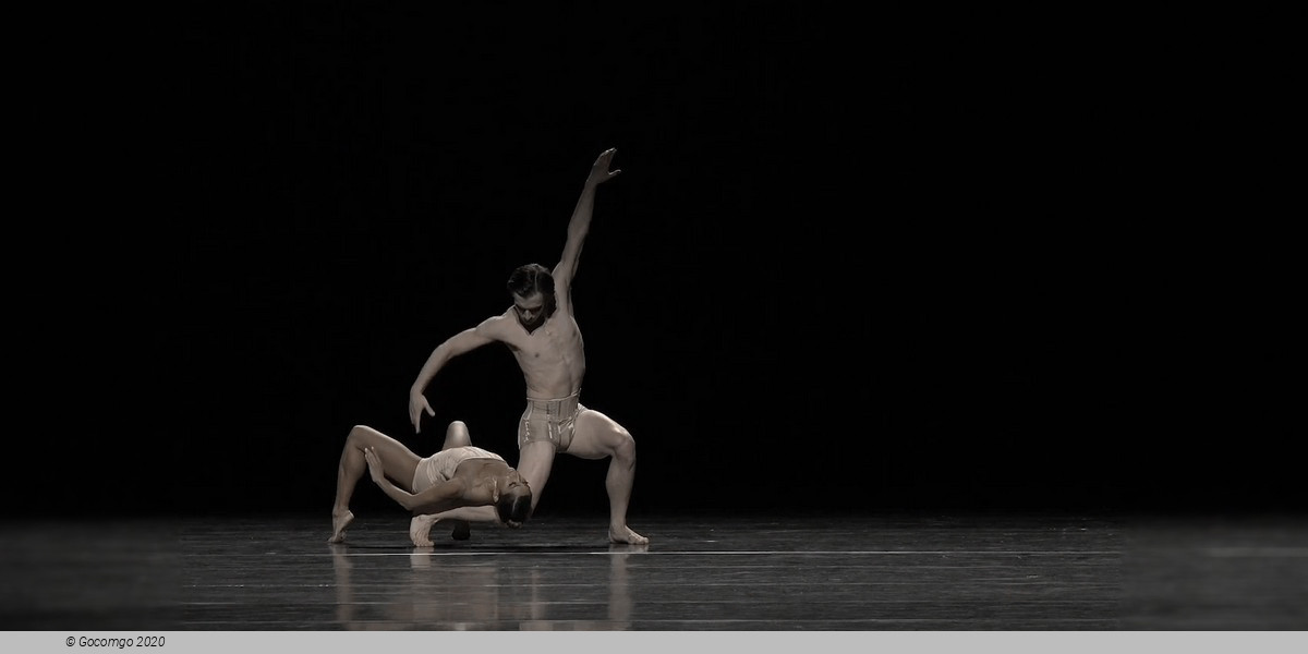 Scene 1 from the modern ballet "Petite Mort", photo 2