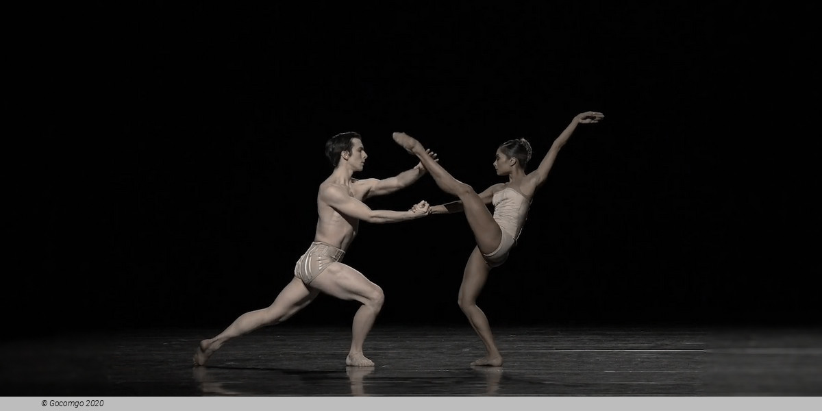 Scene 3 from the modern ballet "Petite Mort", photo 1