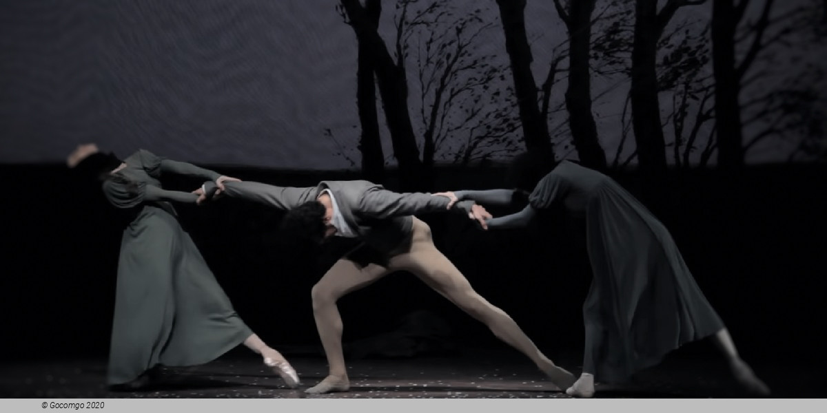 Scene 7 from the ballet "Onegin"