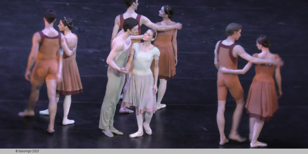 Concerto DSCH, photo 6