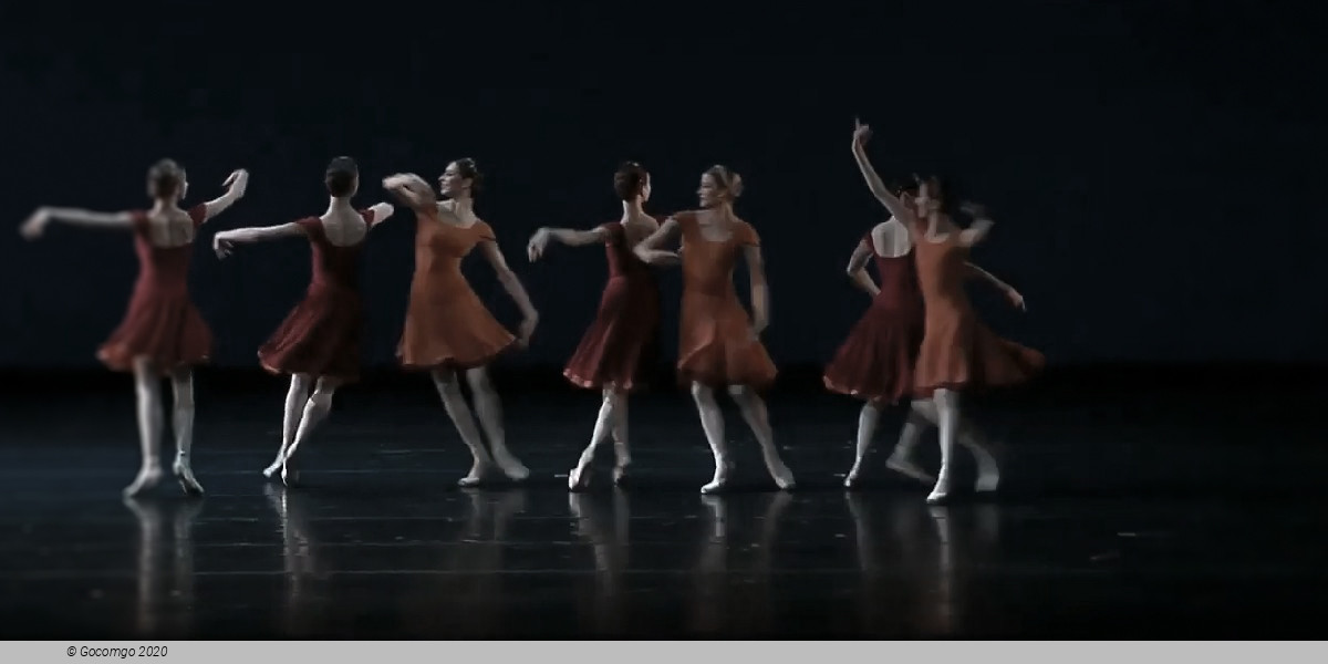 Concerto DSCH, photo 8