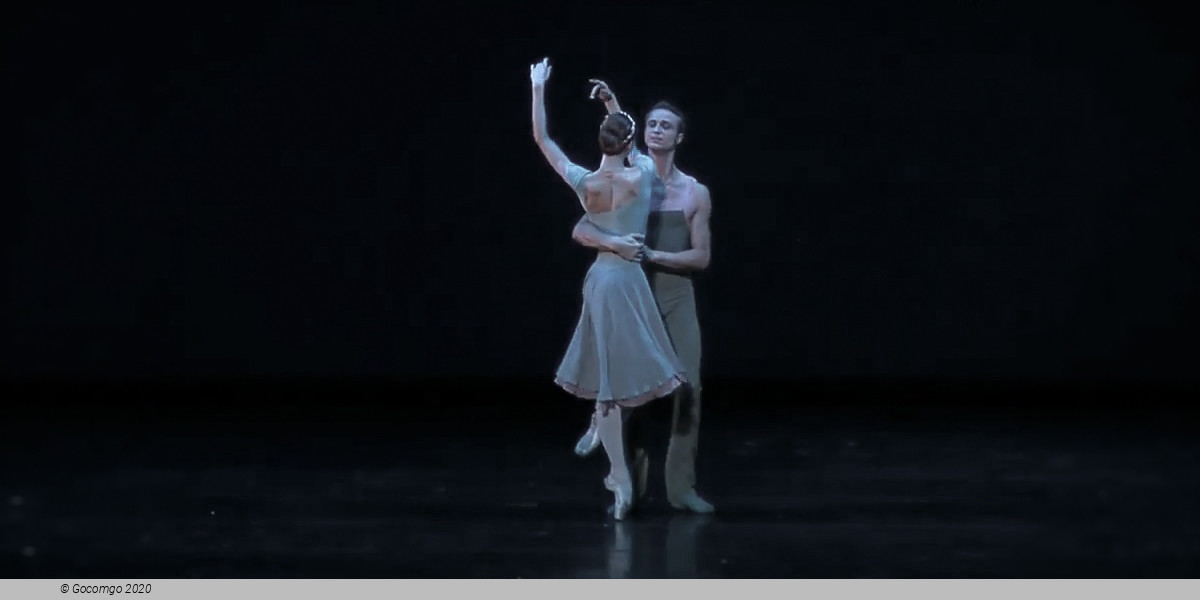 Concerto DSCH, photo 10