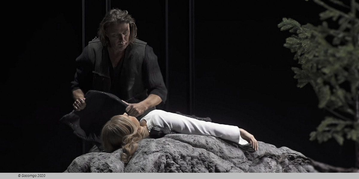 Scene 8 from the opera "Siegfried"