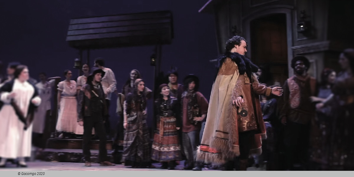 The Gypsy Baron, photo 7