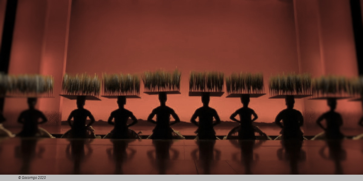 Scene 4 from the musical "The Lion King", photo 10