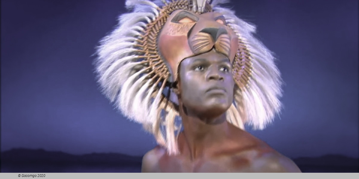 Scene 6 from the musical "The Lion King", photo 11