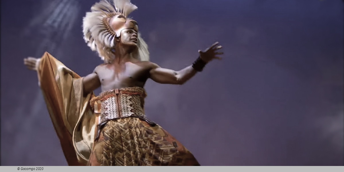 Scene 9 from the musical "The Lion King", photo 14