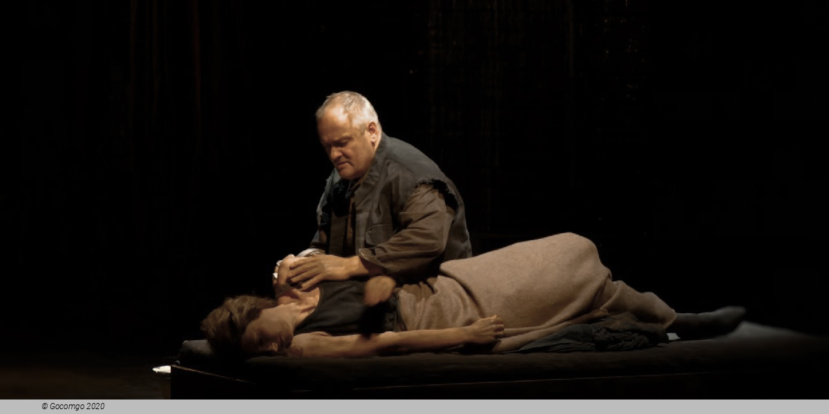 Scene 5 from the opera "Die Frau ohne Schatten", photo 10