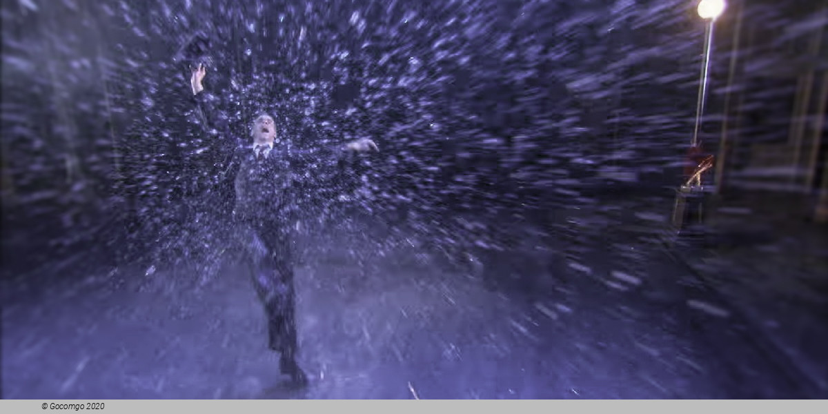 Scene 3 from the musical "Singin' in the Rain", photo 3