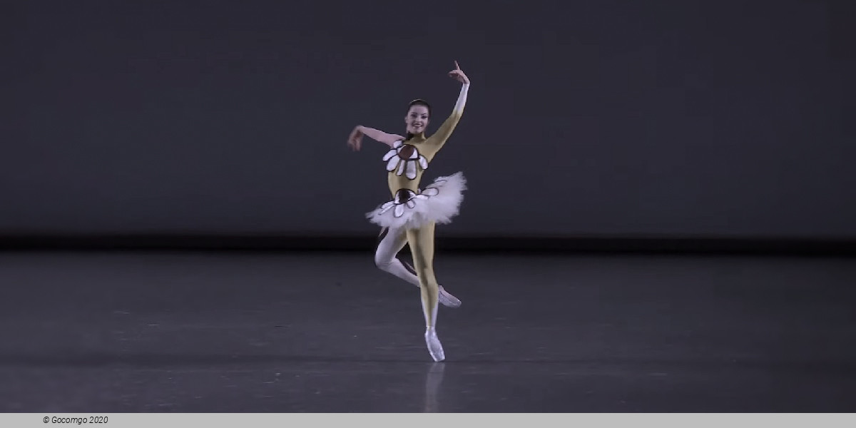 Scene 3 from the ballet "Pulcinella Variations", photo 3